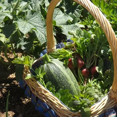 Hotel Casa Murina Demeure Ecolabel Europeen