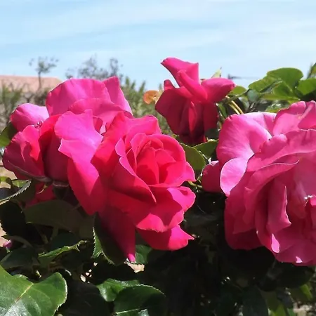 Casa Murina Demeure Ecolabel Europeen Hotel 4*