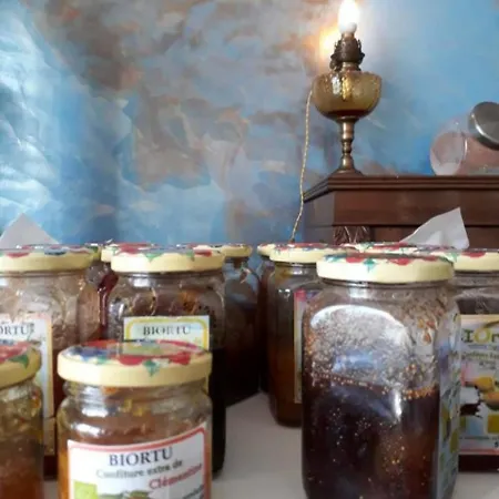 Hotell Casa Murina Demeure Ecolabel Europeen Porto Pollo