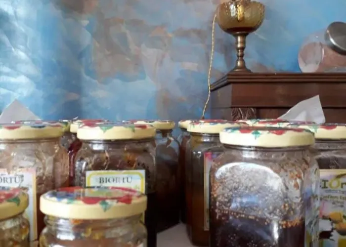 فندق Casa Murina Demeure Ecolabel Europeen بورتو بولو