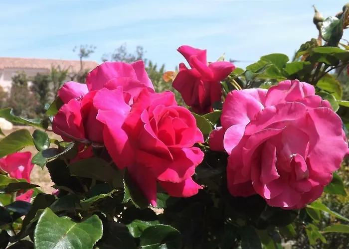 Casa Murina Demeure Ecolabel Europeen فندق 4*